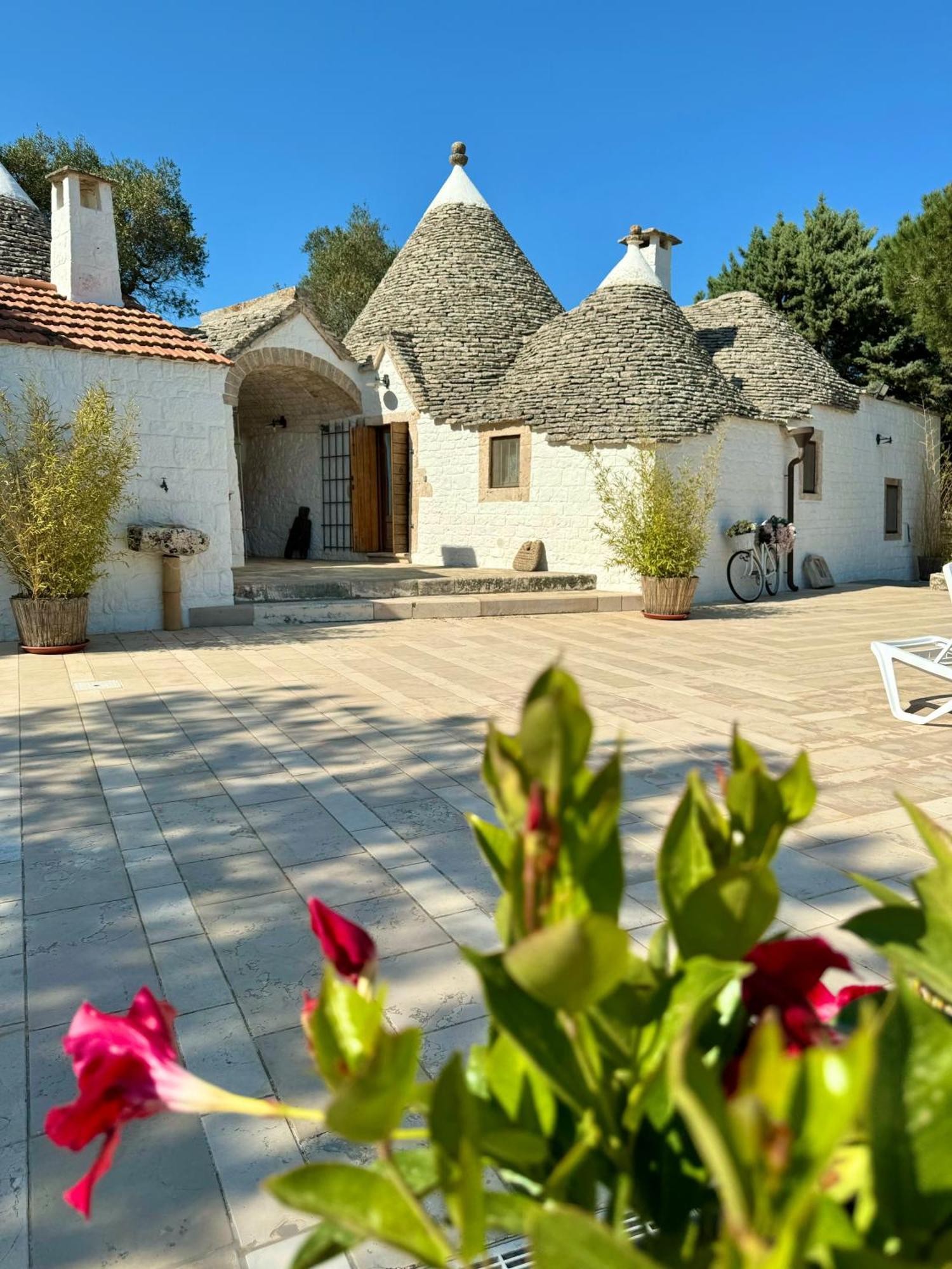 Апартаменти Trulli Bosco Selva Альберобелло Екстер'єр фото